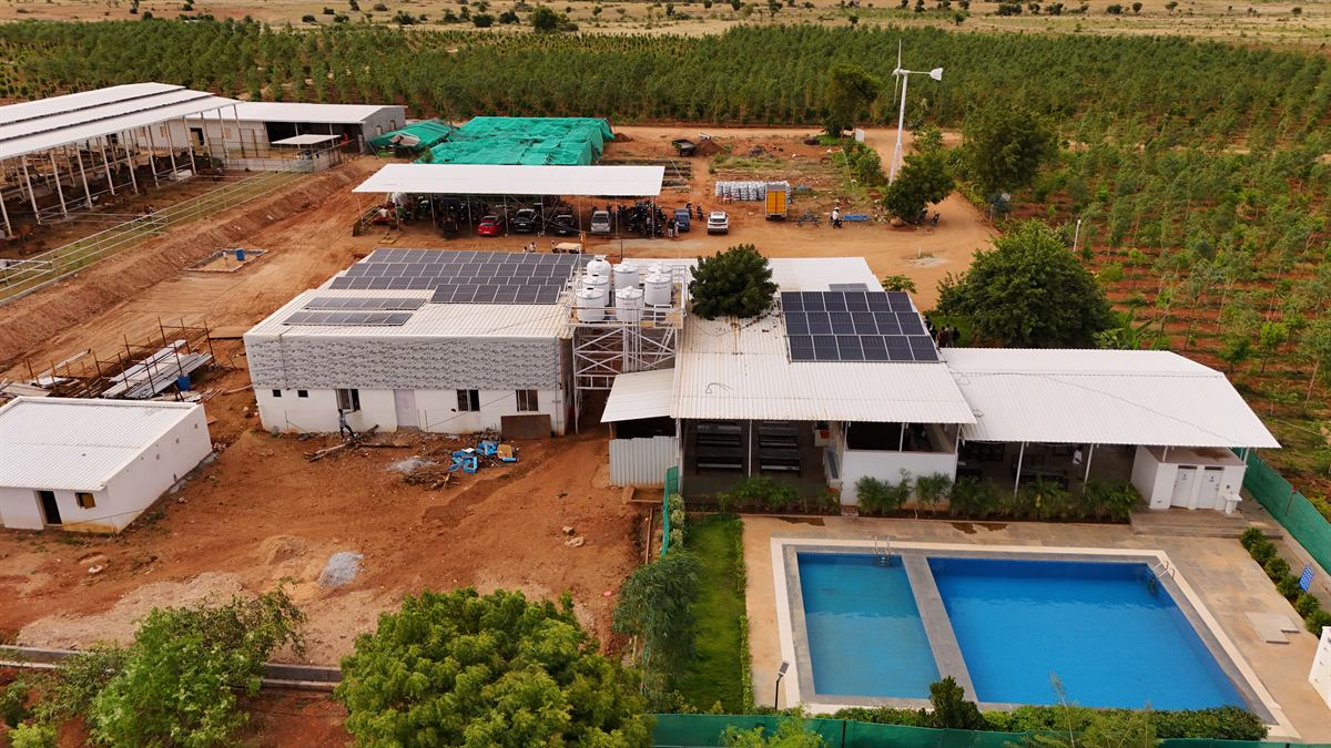 GreenX farm campus — solar-powered dairy, processing block and pools