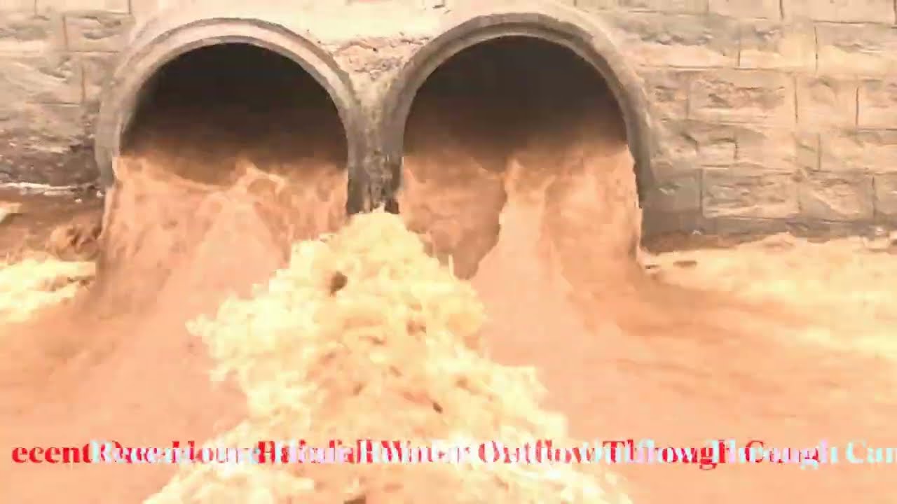 GreenX farm video